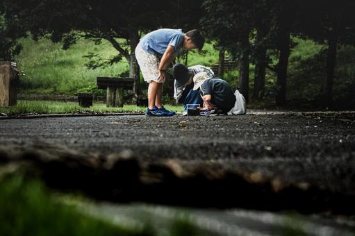 <素材>夏の公園で自由研究に虫を探す家族 <素材>夏の公園で自由研究に虫を探す家族 家族,親子,女性の写真素材