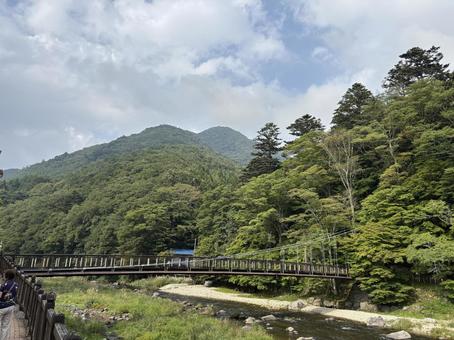 塩原温泉 紅の吊橋 塩原温泉 紅の吊橋 塩原温泉,紅の吊橋,風景の写真素材