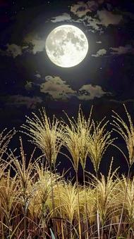 十五夜 満月とすすき 秋イメージ 十五夜 満月とすすき 秋イメージの写真