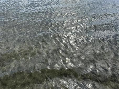 日差しを浴びてきらきらと波打つ海面 海,水面,波の写真素材