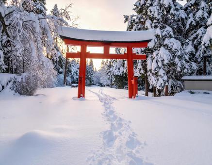 雪に覆われた日本の神社の鳥居 雪に覆われた日本の神社の鳥居の写真