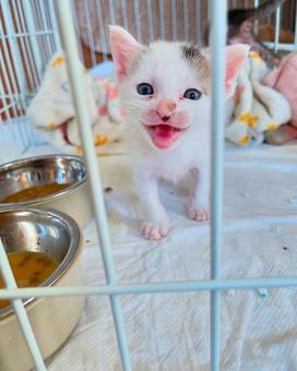 出して! 出して!の写真