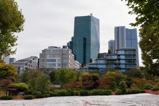 檜町公園 檜町公園,公園,赤坂の写真素材