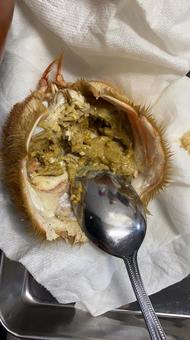 毛ガニの味噌 毛ガニの味噌の写真