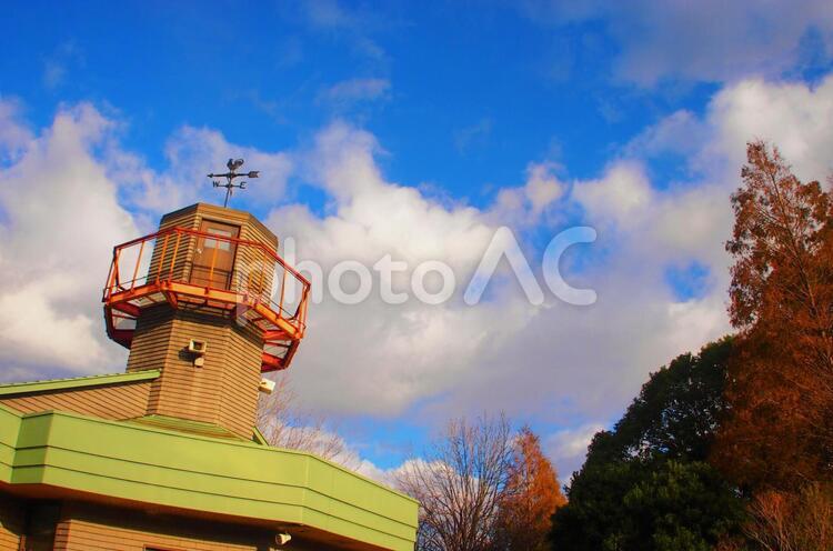 秋空と風見鶏 風見鶏,秋,青空の写真素材