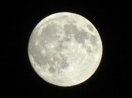 中秋の名月① 中秋の名月① 月,夜,moonの写真素材