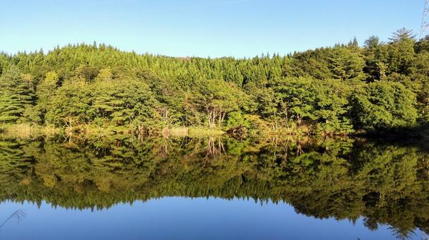 森の水面鏡 水面鏡,水,木の写真素材