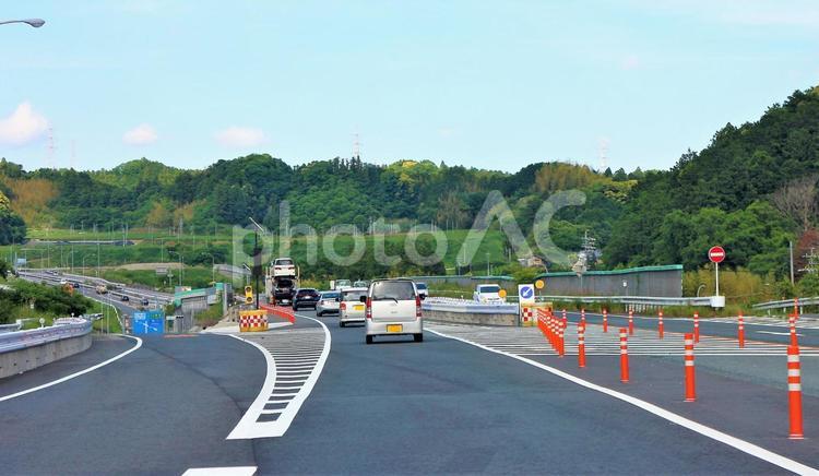 分岐点　新茶の段々畑 分岐点,分かれ道,道路の写真素材