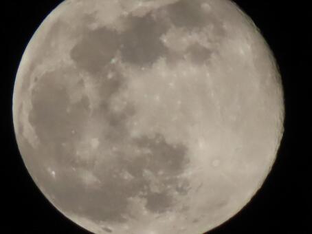 今年最後の　満月 12月,冬,今年最後の満月の写真素材