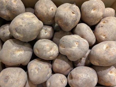 たくさん並んだジャガイモ ジャガイモ,芋,食べ物の写真素材