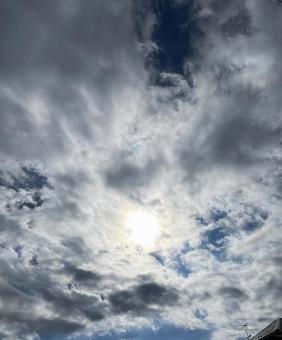 太陽に向かって 太陽に向かっての写真