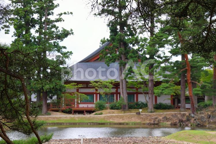 ８月上旬の平泉の毛越寺の伽藍 背景,毛越寺,寺の写真素材