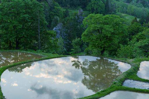250519儀明の棚田 新潟県,十日町市,儀明の写真素材