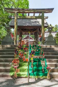 井伊谷宮 端午の節句飾り（静岡） 井伊谷宮,浜松市,神社の写真素材