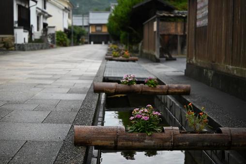 おはなはん通りと花 愛媛,武家屋敷,大洲の写真素材