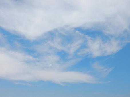 【風景写真】夏空の写真