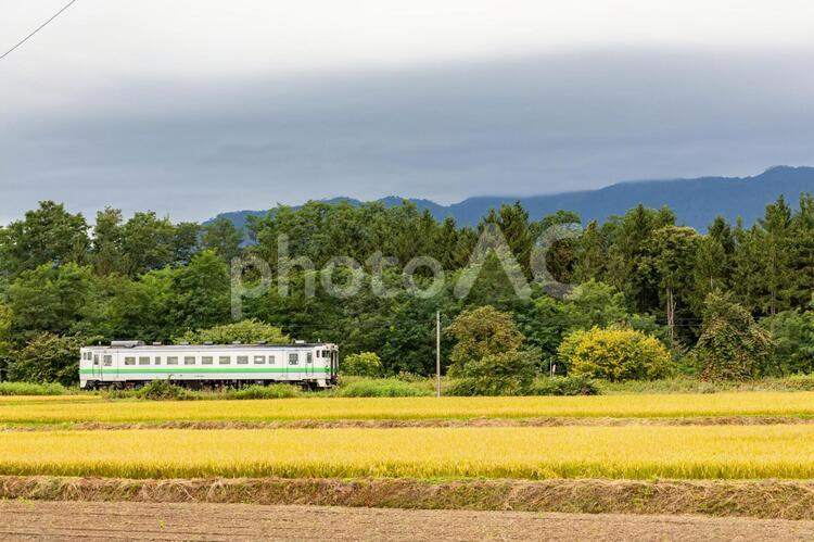 秋の風景 風景,鉄道,秋の写真素材