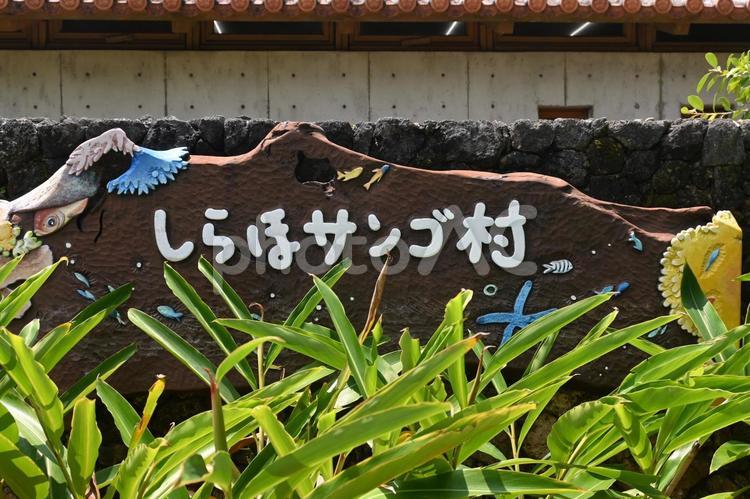 石垣島　白保集落　しらほサンゴ村看板 石垣島,沖縄県,白保の写真素材