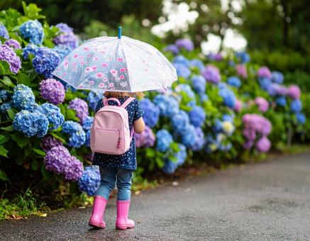 紫陽花と少女 紫陽花と少女の写真