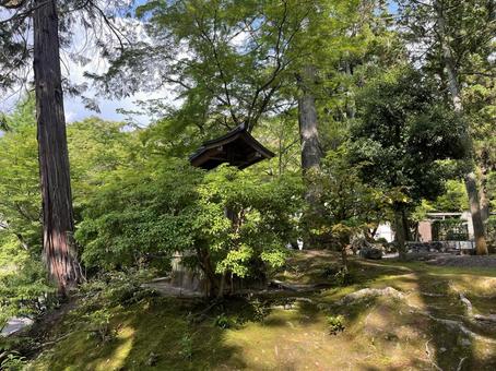 南禅寺 南禅寺,寺院,京都の写真素材