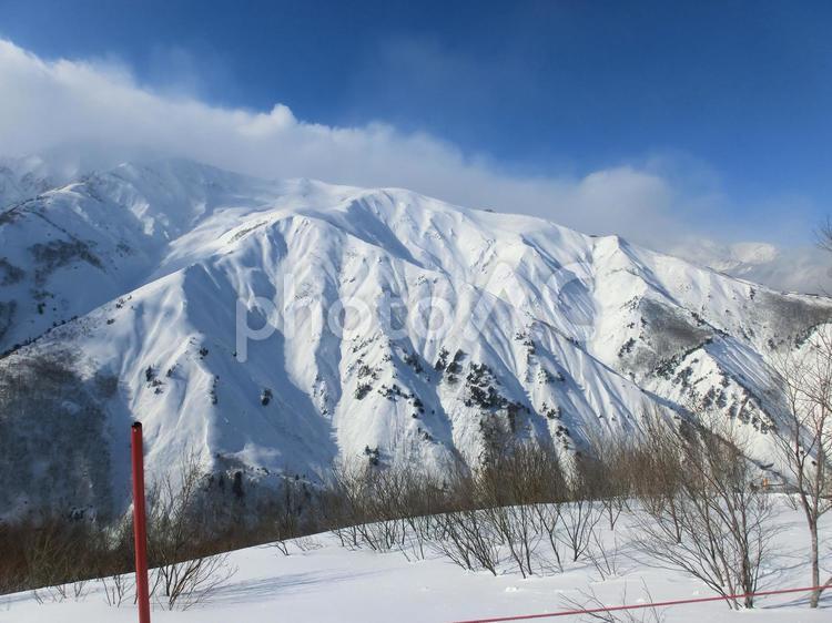 白馬五竜・Hakuba47スキー場の風景 スキー場,冬,雪の写真素材