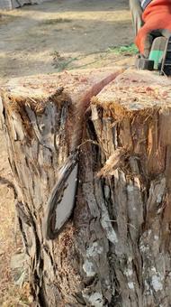 Chainsaw Swedish Torch Making, JPG Chainsaw Swedish Torch Making, JPG