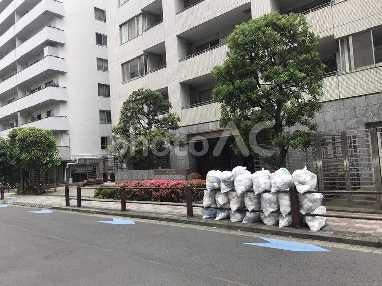 整理されたゴミ ver.4 通り,都市,道路の写真素材