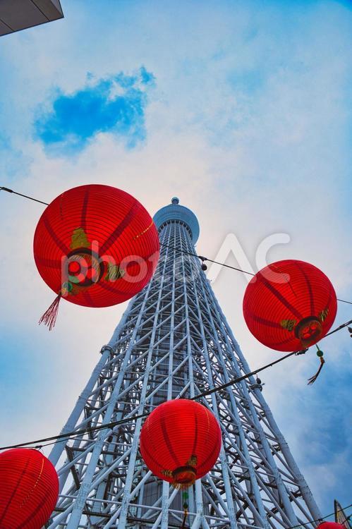 スカイツリー（台湾フェスティバル） スカイツリー,東京,東京スカイツリーの写真素材