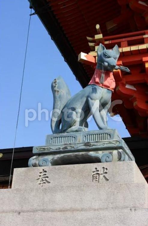 伏見稲荷大社５ 伏見稲荷大社,神社,伏見の写真素材
