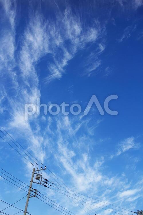 電柱と青空と白い雲 電柱,電線,電信柱の写真素材