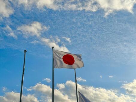 日の丸とブルースカイ 日の丸,国旗,青空の写真素材
