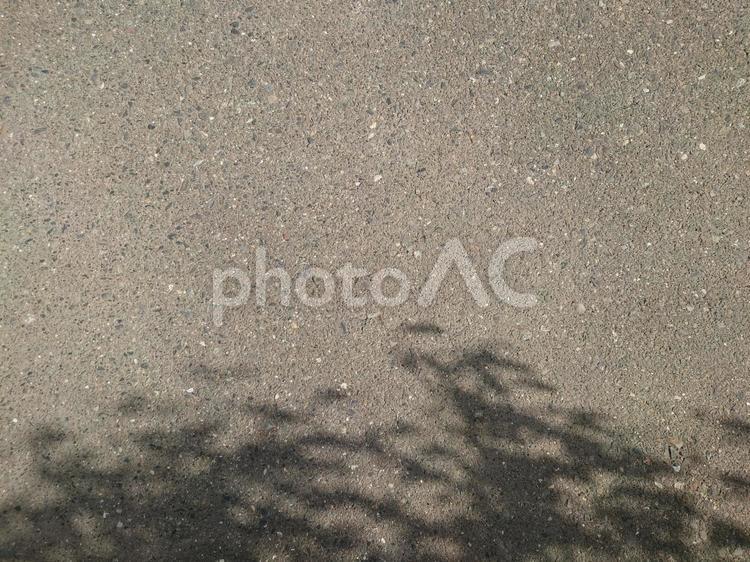 葉っぱの影が映る道路（コピースペース） 葉っぱ,影,アスファルトの写真素材