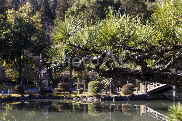 永保寺20（多治見市） 永保寺,虎渓山,国宝の写真素材