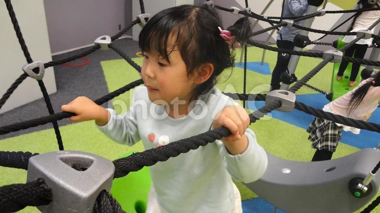 アスレチックで遊ぶ女の子 こども,キッズ,アスレチックの写真素材