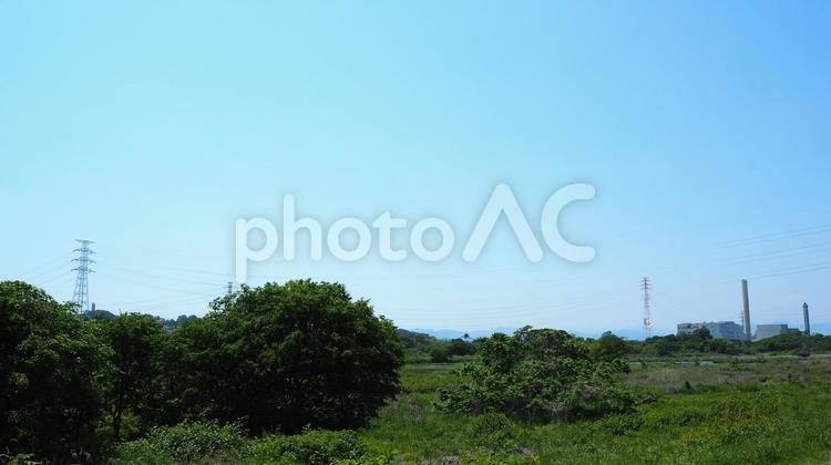 初夏の多摩川・新緑の河川敷・東京都府中市 初夏,多摩川,新緑の写真素材