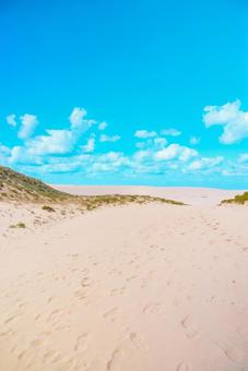 【鳥取】青空と鳥取砂丘の写真