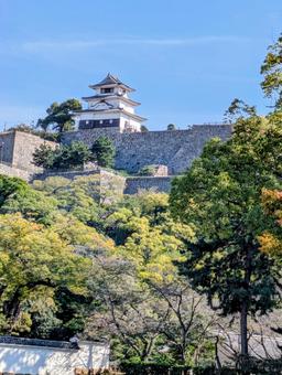 晴天と緑溢れる日本の城（香川県丸亀城） 丸亀城,日本の城,青い空の写真素材