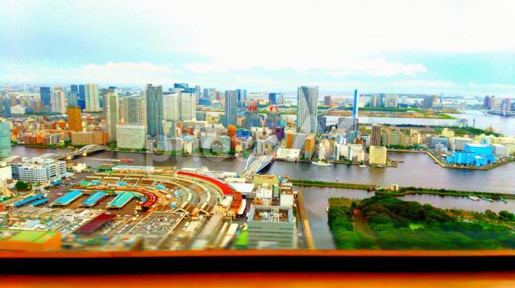 東京の景色　ミニチュア風 東京,ミニチュア,都市の写真素材