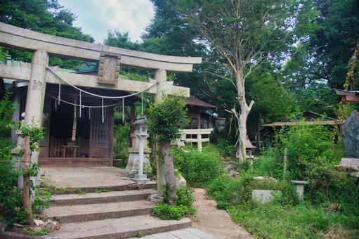 神戸市長田区 高取山の風景 神戸市長田区 高取山の風景の写真