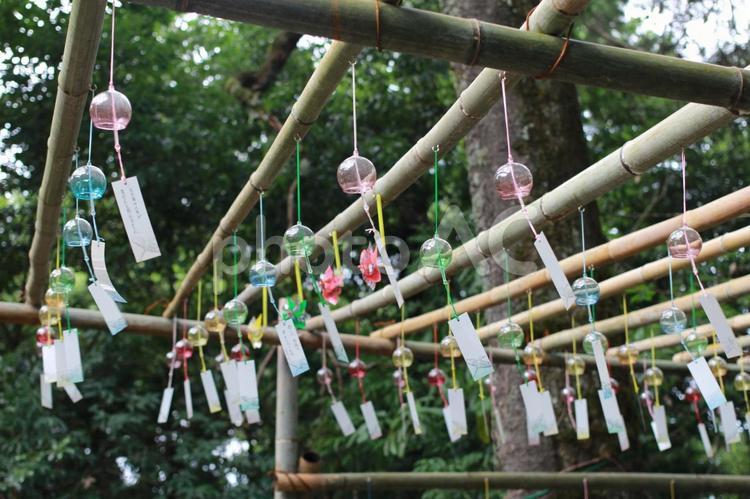 風に揺れる風鈴 神社,夏,夏休みの写真素材