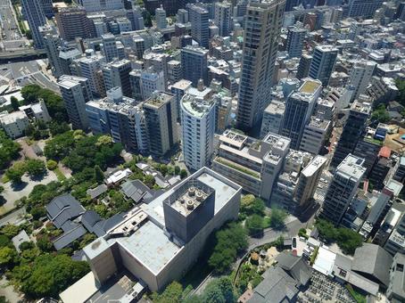 東京タワーから見た景色 東京タワーから見た景色 街並み,東京,自然の写真素材
