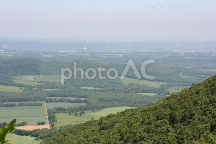 夏の富良野の風景 富良野,風景,北海道の写真素材