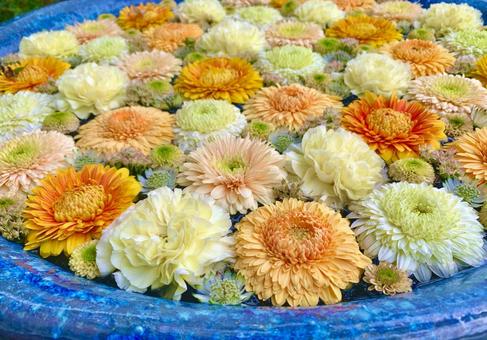 色鮮やかな花手水1 花手水,はなちょうず,手水舎の写真素材