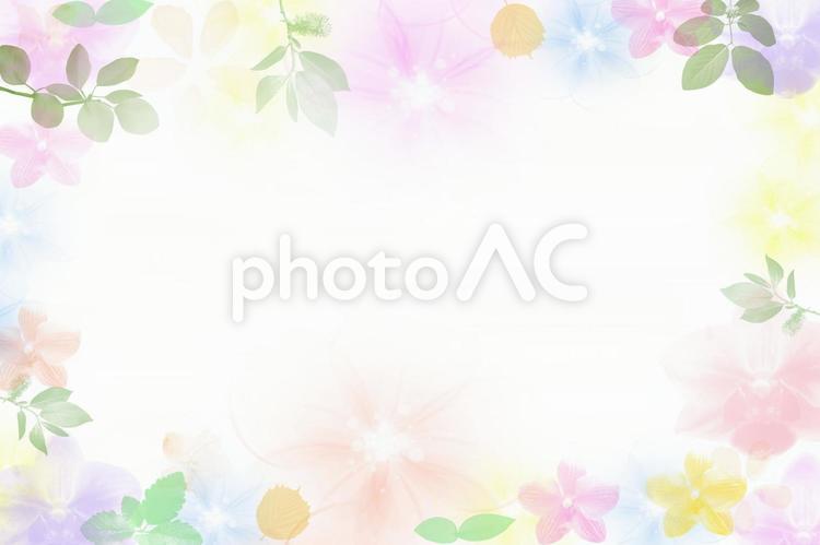 花と葉のフレーム　ぼかし グラデーション,桜,画像の写真素材