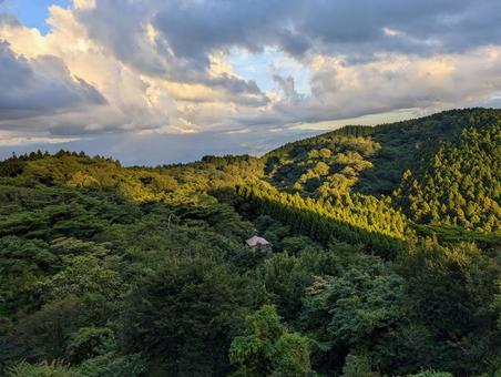 Photo, mountain, coniferous trees, landscape, 