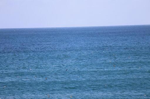 青い海面の海と水平線と青空の風景 青い,海面,水平線の写真素材