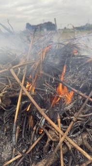 草むら野焼きの炎と煙 焼く,藁,枯れ草の写真素材