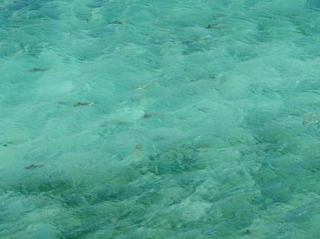 Photo, ishigakijima, vacation, sea, 
