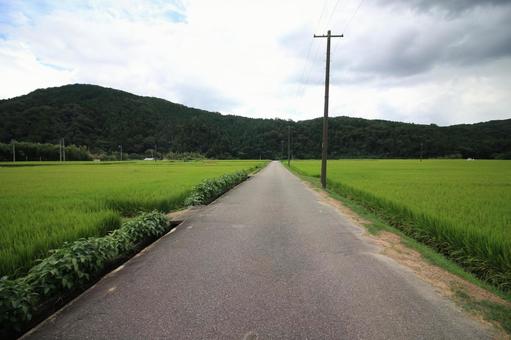 Farm road, JPG Farm road, JPG