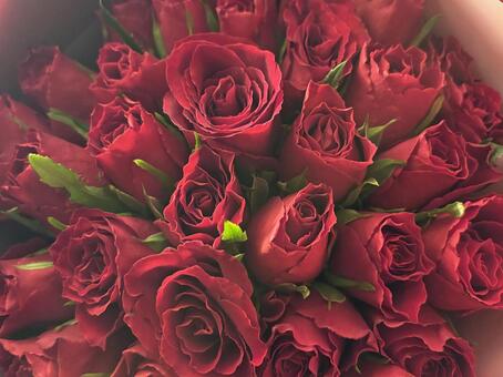 バラの花束 プレゼント,花束,ブーケの写真素材